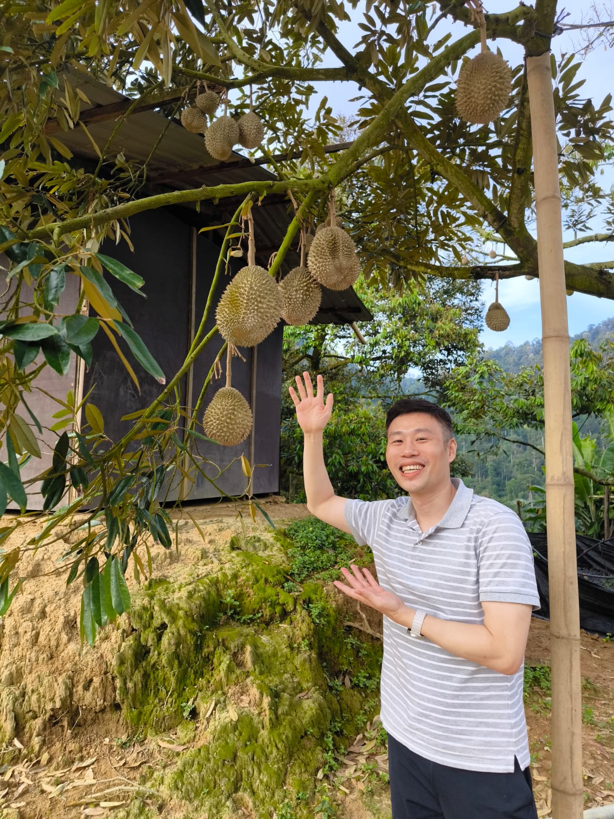 Our Spike Durian Story: The Craving That Couldn't Wait