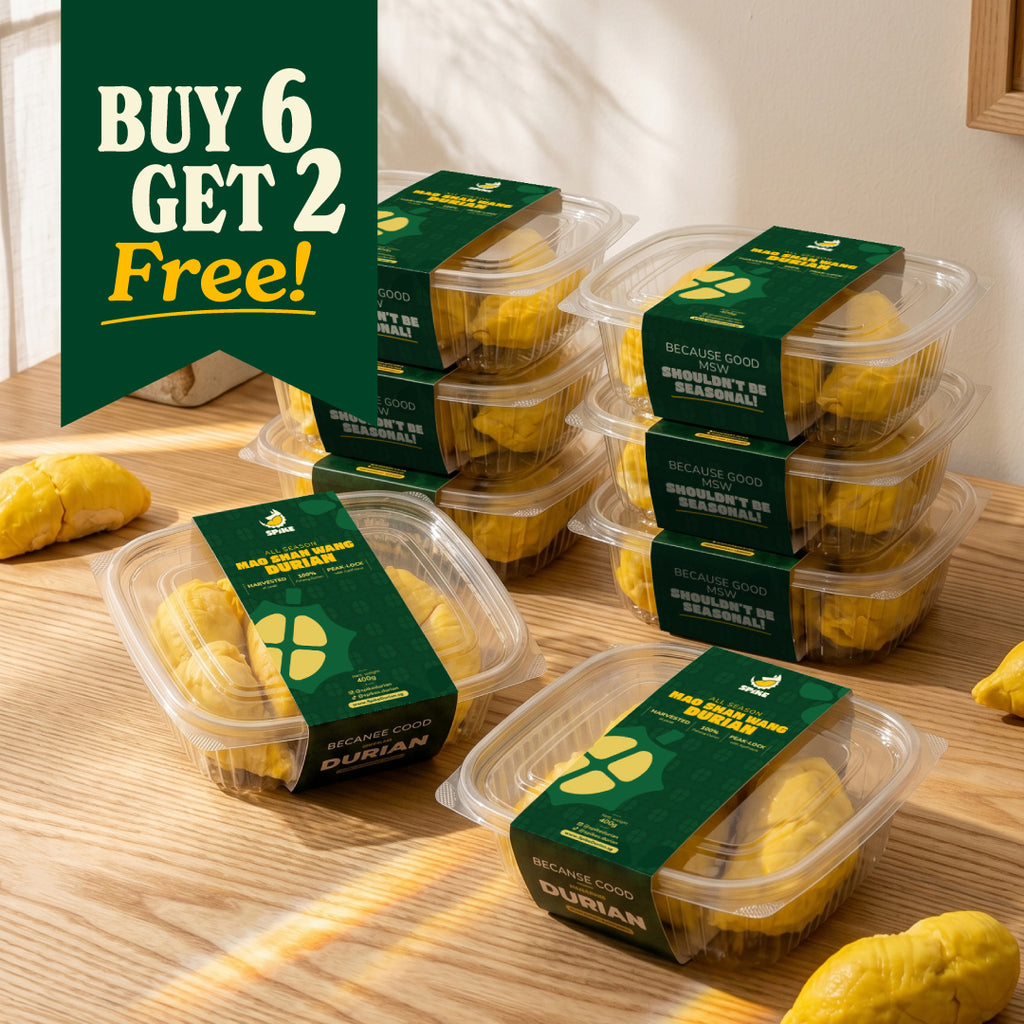 Buy 6 Get 2 FREE Family Bundle  | Pahang Old-Tree Mao Shan Wang