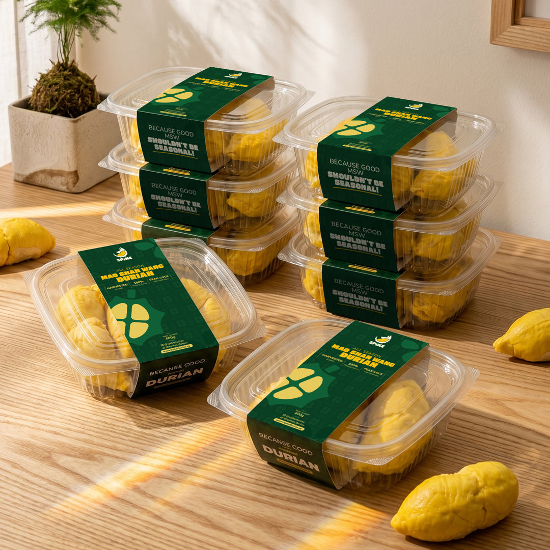 Buy 6 Get 2 FREE Family Bundle  | Pahang Old-Tree Mao Shan Wang