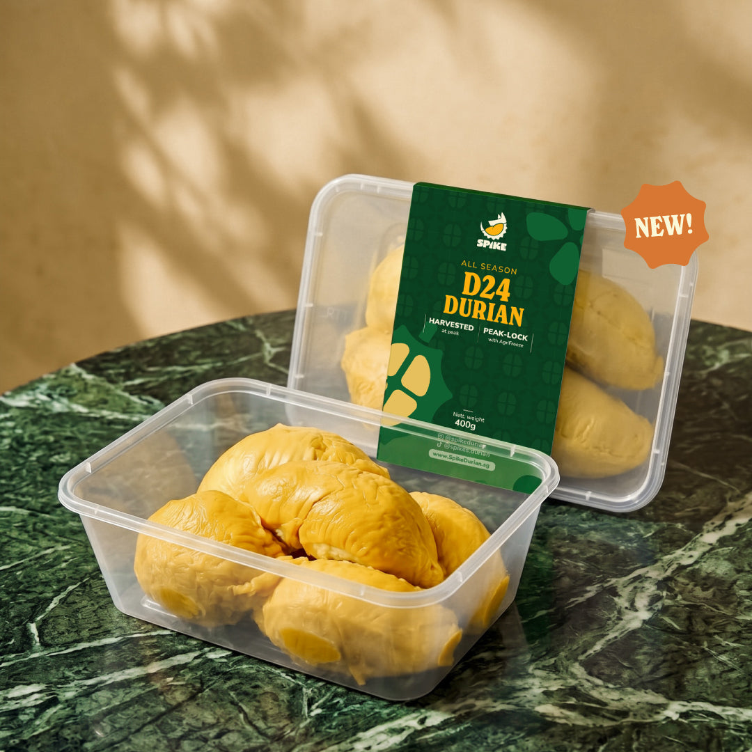 Single Box | D24 Sultan Durian