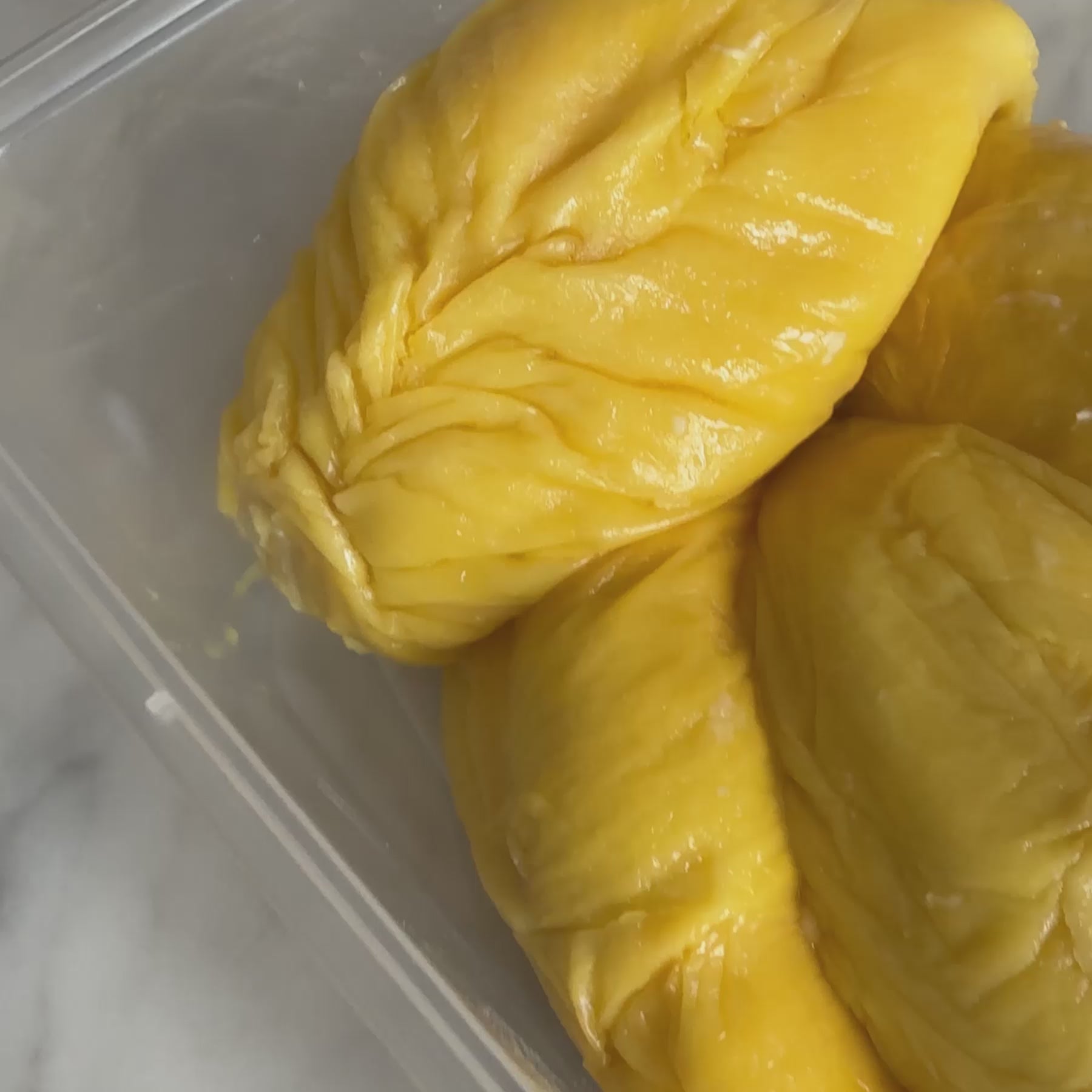 Single Box | Pahang Old-Tree Mao Shan Wang